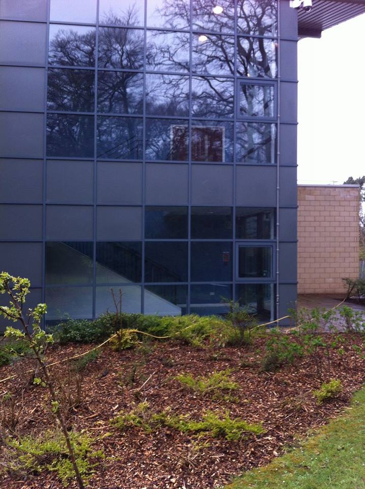 Clean commercial windows