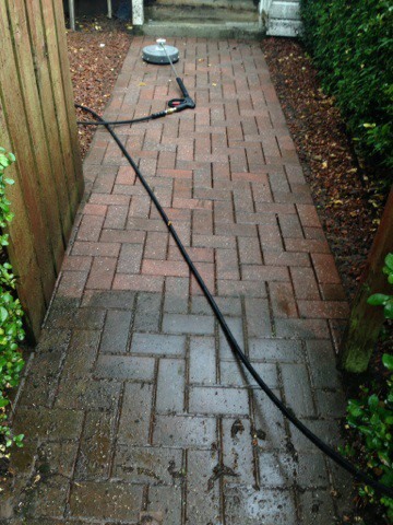 Partially cleaned pathway